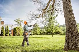 Best Tree and Shrub Care  in Dooms, VA